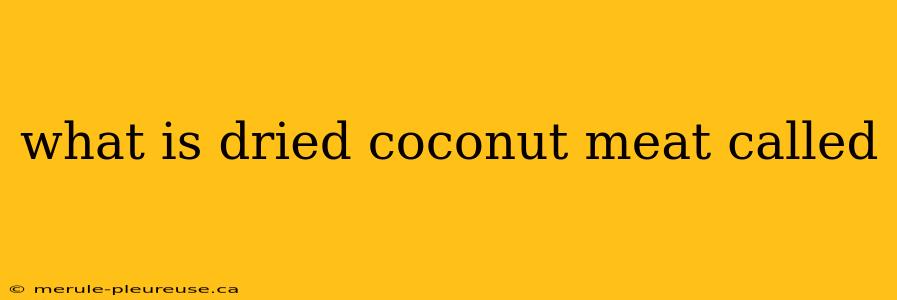 what is dried coconut meat called