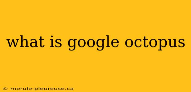 what is google octopus