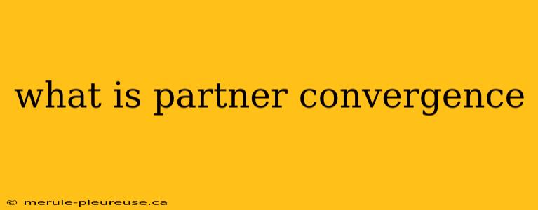 what is partner convergence