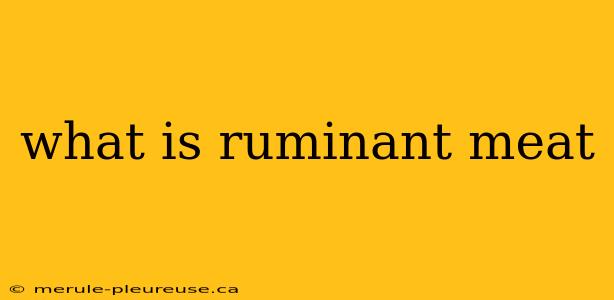 what is ruminant meat