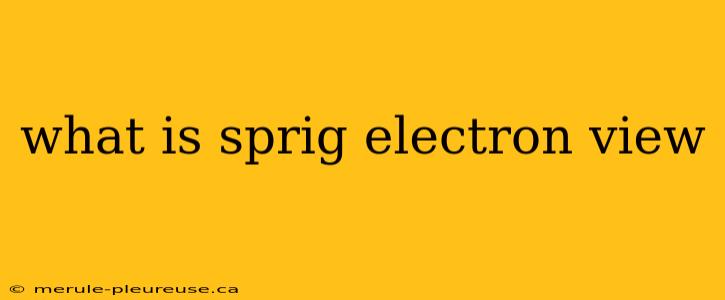 what is sprig electron view