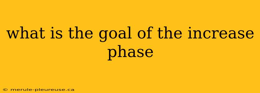 what is the goal of the increase phase