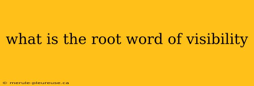 what is the root word of visibility