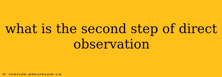 what is the second step of direct observation