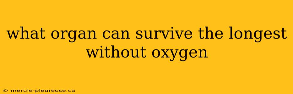 what organ can survive the longest without oxygen