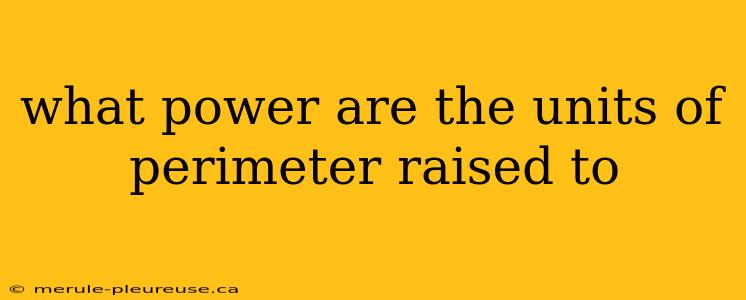 what power are the units of perimeter raised to