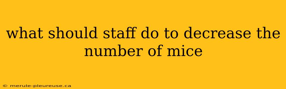 what should staff do to decrease the number of mice