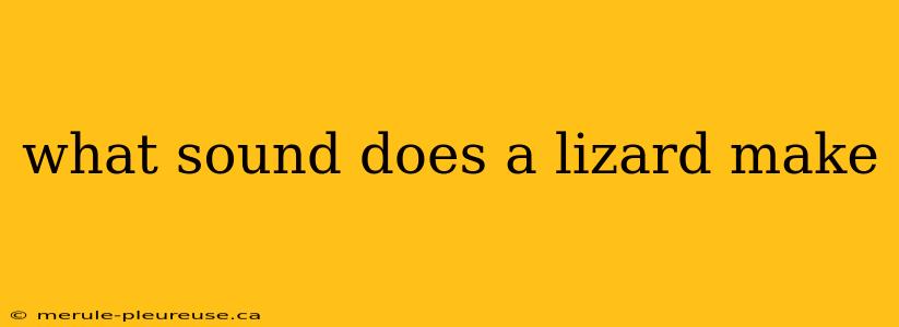 what sound does a lizard make