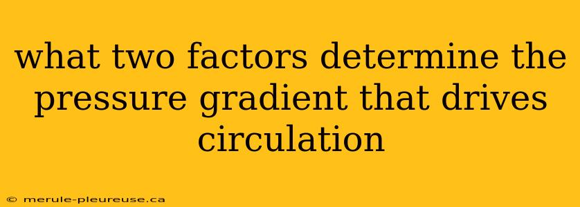 what two factors determine the pressure gradient that drives circulation