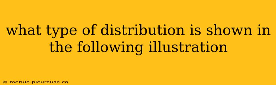 what type of distribution is shown in the following illustration