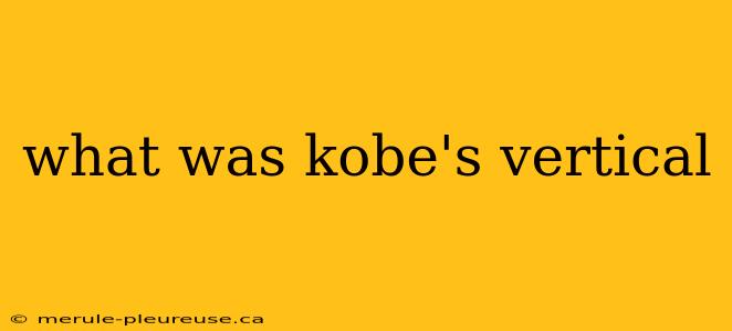 what was kobe's vertical