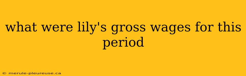 what were lily's gross wages for this period