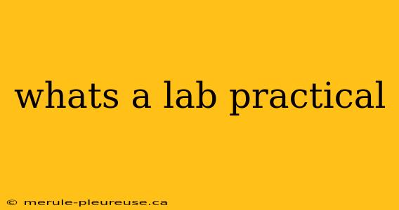 whats a lab practical