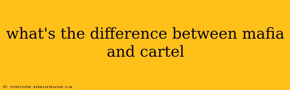 what's the difference between mafia and cartel