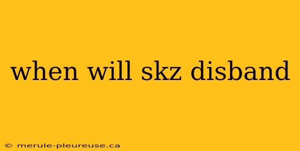 when will skz disband