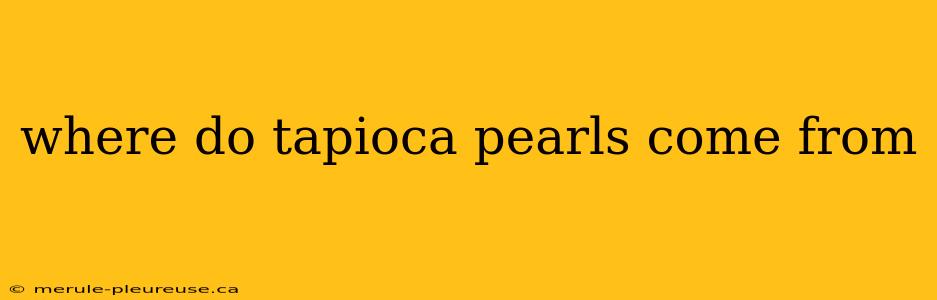 where do tapioca pearls come from