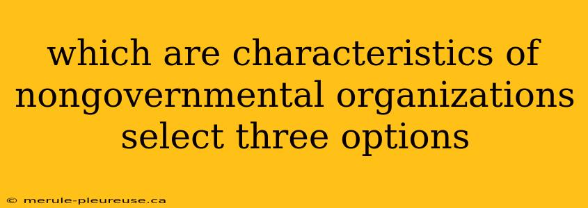 which are characteristics of nongovernmental organizations select three options