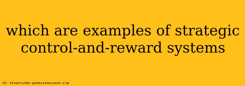 which are examples of strategic control-and-reward systems