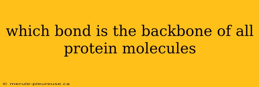 which bond is the backbone of all protein molecules