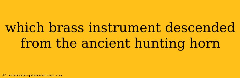 which brass instrument descended from the ancient hunting horn