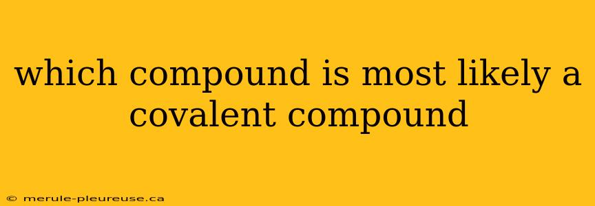 which compound is most likely a covalent compound