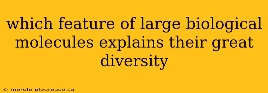 which feature of large biological molecules explains their great diversity