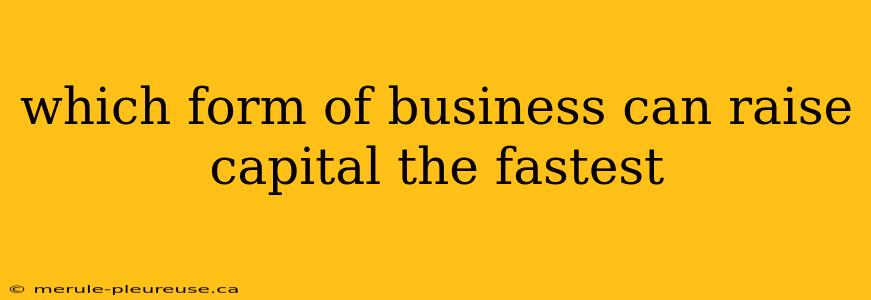 which form of business can raise capital the fastest