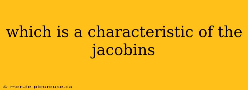 which is a characteristic of the jacobins