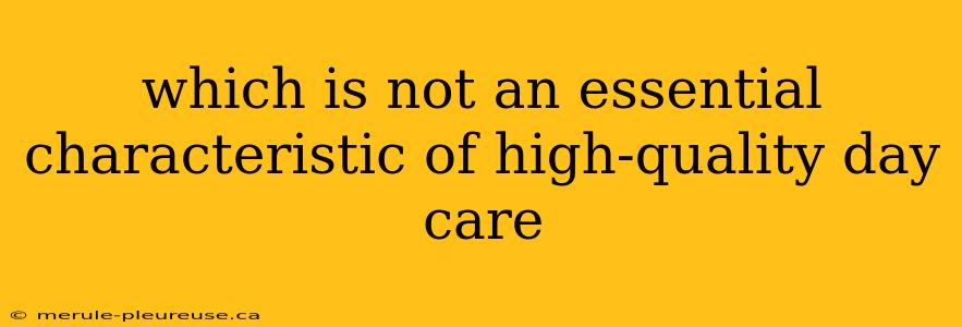 which is not an essential characteristic of high-quality day care