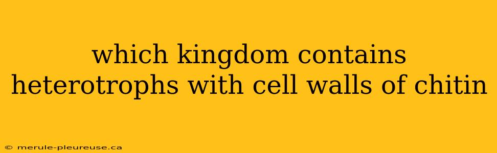 which kingdom contains heterotrophs with cell walls of chitin