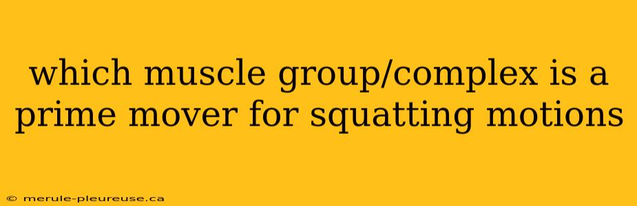 which muscle group/complex is a prime mover for squatting motions