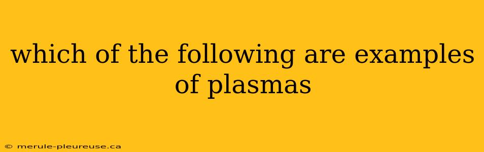 which of the following are examples of plasmas