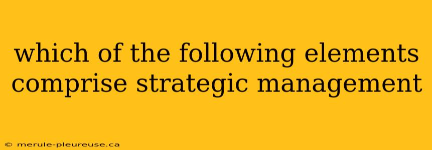 which of the following elements comprise strategic management