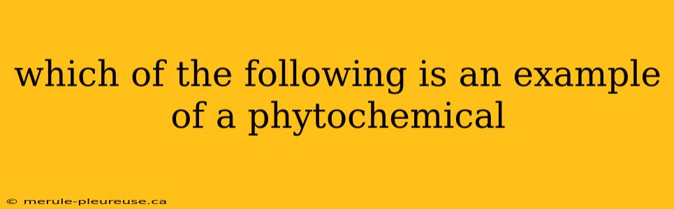 which of the following is an example of a phytochemical