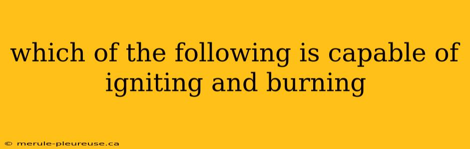 which of the following is capable of igniting and burning