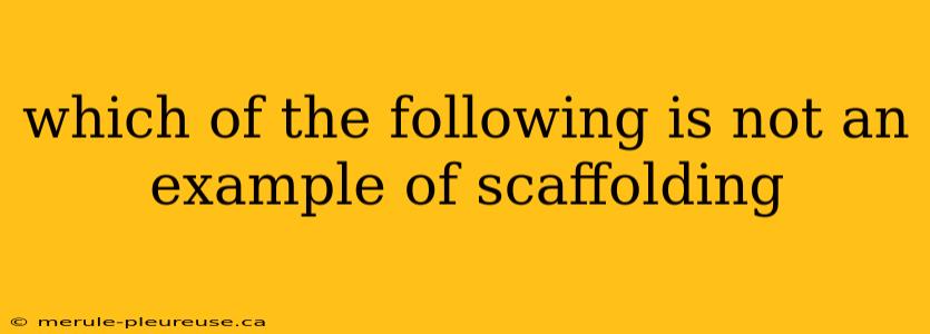 which of the following is not an example of scaffolding