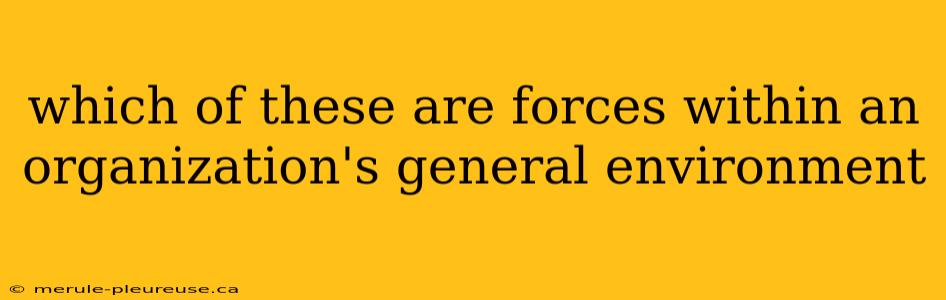 which of these are forces within an organization's general environment