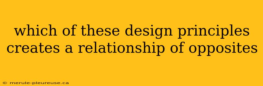 which of these design principles creates a relationship of opposites