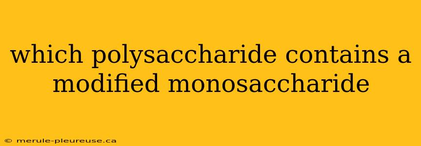 which polysaccharide contains a modified monosaccharide