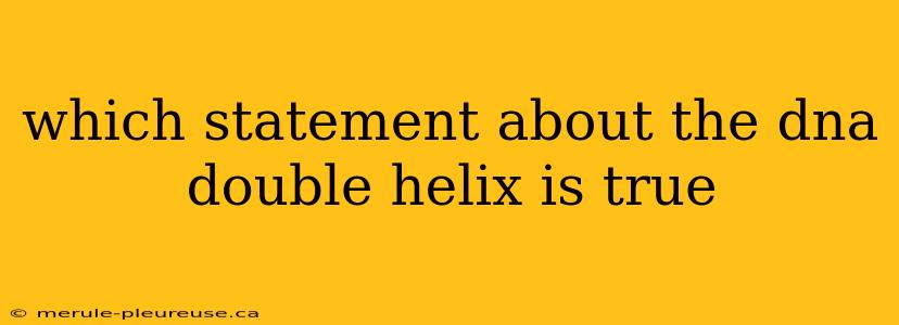 which statement about the dna double helix is true