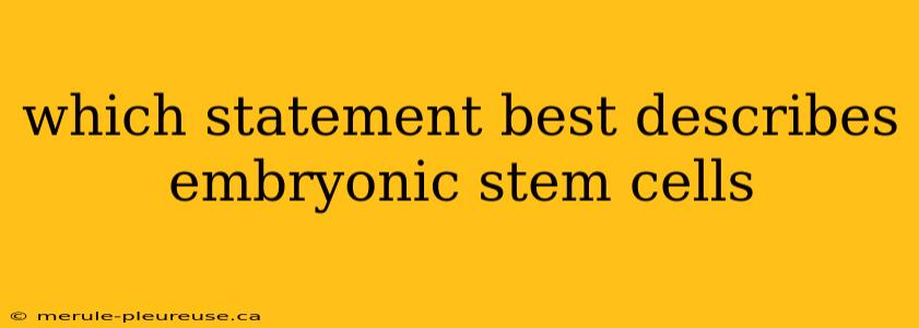 which statement best describes embryonic stem cells