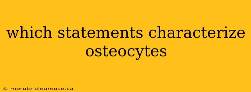 which statements characterize osteocytes