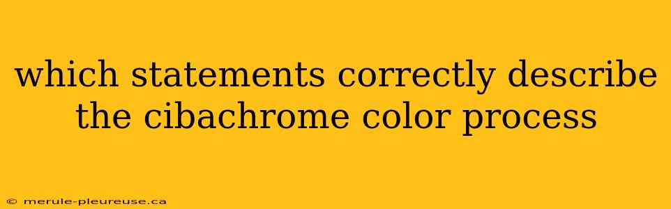 which statements correctly describe the cibachrome color process