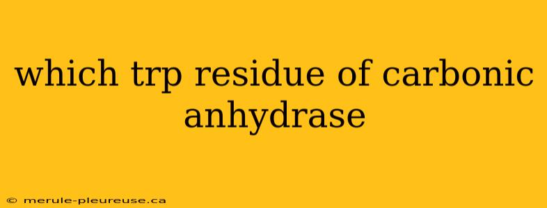 which trp residue of carbonic anhydrase