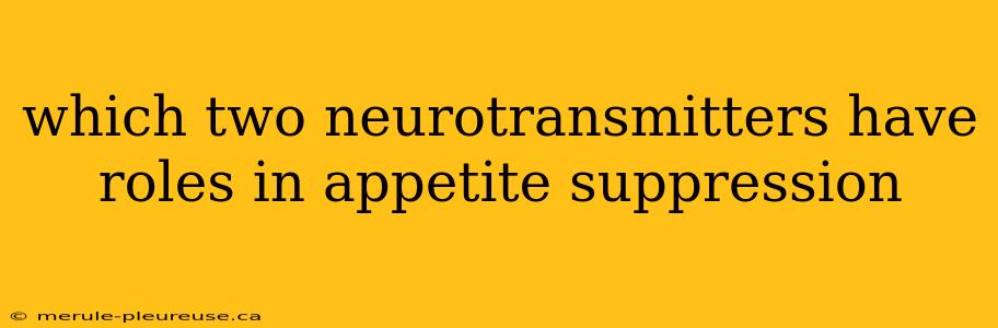 which two neurotransmitters have roles in appetite suppression