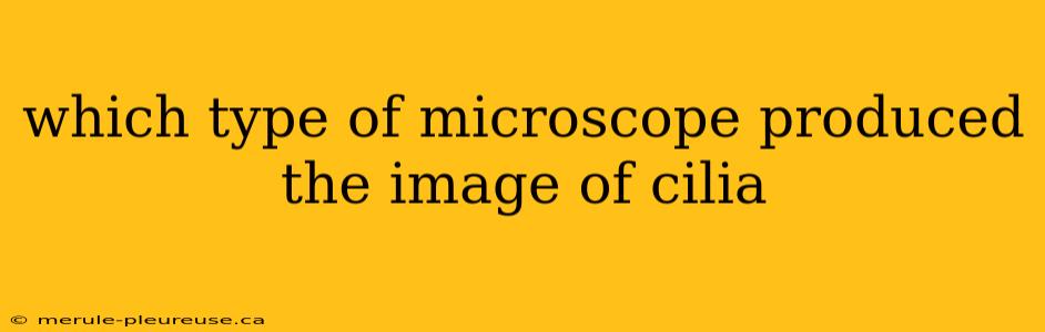 which type of microscope produced the image of cilia