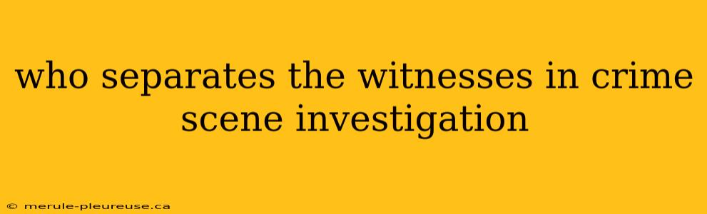 who separates the witnesses in crime scene investigation