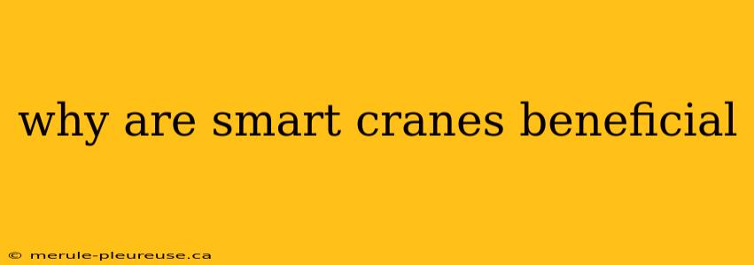 why are smart cranes beneficial