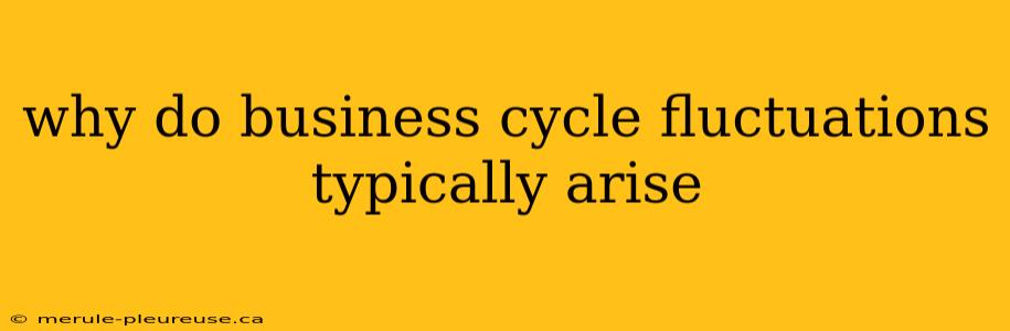 why do business cycle fluctuations typically arise