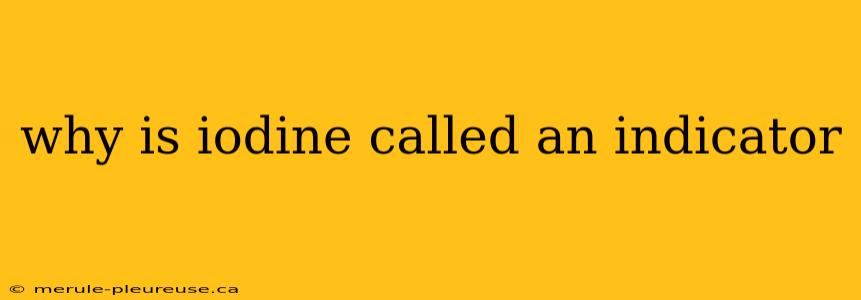 why is iodine called an indicator